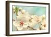 Cherry Blossoms Against a Blue Sky-egal-Framed Photographic Print