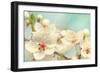 Cherry Blossoms Against a Blue Sky-egal-Framed Photographic Print