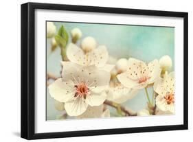 Cherry Blossoms Against a Blue Sky-egal-Framed Photographic Print