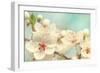 Cherry Blossoms Against a Blue Sky-egal-Framed Photographic Print