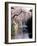 Cherry Blossoms and a River-null-Framed Premium Photographic Print