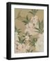 Cherry Blossoms and Dragonfly-null-Framed Art Print