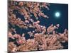 Cherry Blossoms and Full Moon-null-Mounted Photographic Print