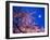 Cherry Blossoms and Full Moon-null-Framed Photographic Print