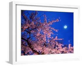 Cherry Blossoms and Full Moon-null-Framed Photographic Print