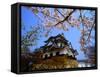 Cherry Blossoms and Hikone Castle-null-Framed Stretched Canvas