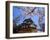 Cherry Blossoms and Hikone Castle-null-Framed Photographic Print