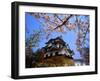 Cherry Blossoms and Hikone Castle-null-Framed Photographic Print