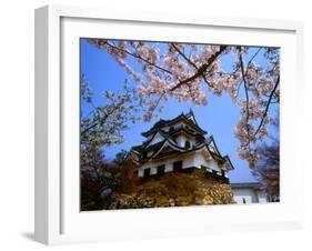 Cherry Blossoms and Hikone Castle-null-Framed Photographic Print