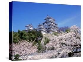 Cherry Blossoms and Himeji Castle-null-Stretched Canvas