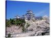 Cherry Blossoms and Himeji Castle-null-Stretched Canvas