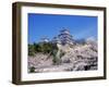 Cherry Blossoms and Himeji Castle-null-Framed Premium Photographic Print