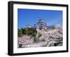 Cherry Blossoms and Himeji Castle-null-Framed Premium Photographic Print