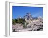 Cherry Blossoms and Himeji Castle-null-Framed Premium Photographic Print