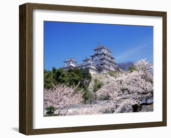 Cherry Blossoms and Himeji Castle-null-Framed Photographic Print