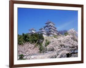 Cherry Blossoms and Himeji Castle-null-Framed Photographic Print