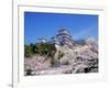 Cherry Blossoms and Himeji Castle-null-Framed Photographic Print