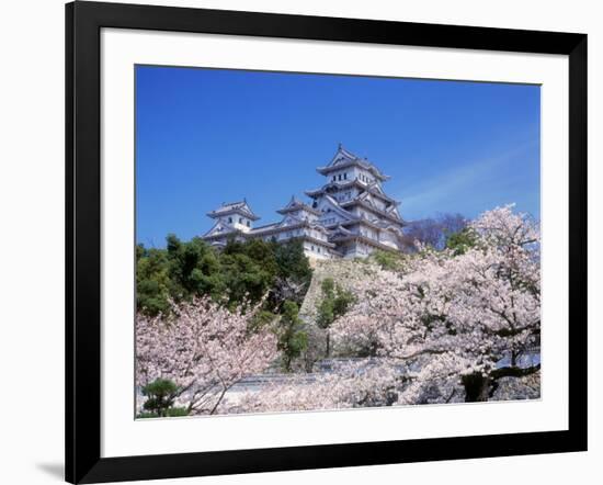 Cherry Blossoms and Himeji Castle-null-Framed Photographic Print