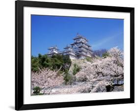 Cherry Blossoms and Himeji Castle-null-Framed Photographic Print