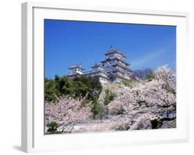 Cherry Blossoms and Himeji Castle-null-Framed Photographic Print