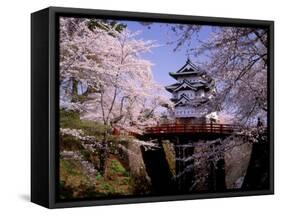 Cherry Blossoms and Hirosaki Castle-null-Framed Stretched Canvas