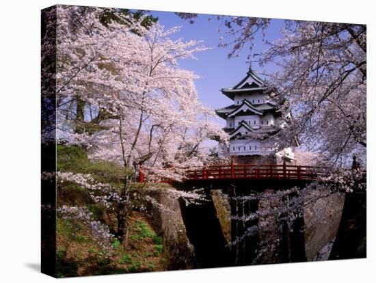 Cherry Blossoms and Hirosaki Castle-null-Stretched Canvas