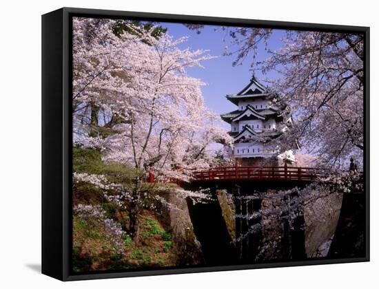 Cherry Blossoms and Hirosaki Castle-null-Framed Stretched Canvas