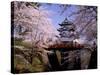 Cherry Blossoms and Hirosaki Castle-null-Stretched Canvas