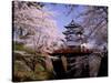 Cherry Blossoms and Hirosaki Castle-null-Stretched Canvas