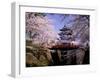 Cherry Blossoms and Hirosaki Castle-null-Framed Premium Photographic Print