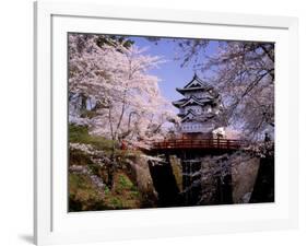 Cherry Blossoms and Hirosaki Castle-null-Framed Photographic Print