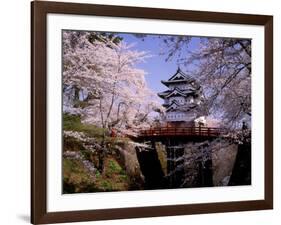 Cherry Blossoms and Hirosaki Castle-null-Framed Photographic Print