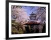 Cherry Blossoms and Hirosaki Castle-null-Framed Photographic Print