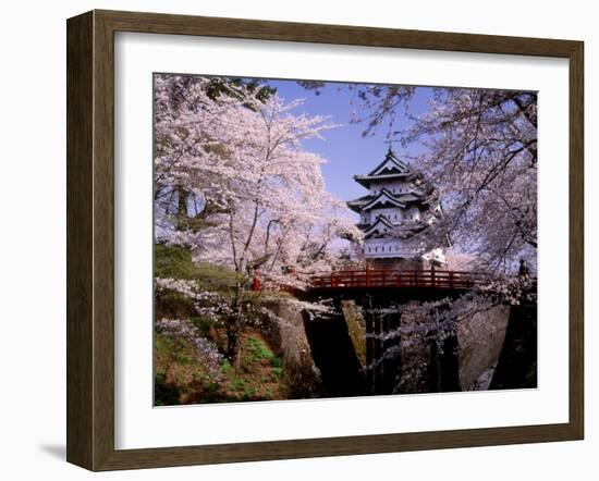 Cherry Blossoms and Hirosaki Castle-null-Framed Photographic Print