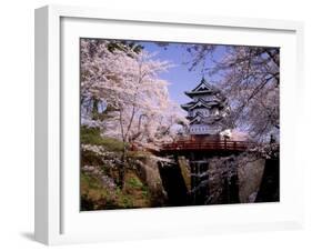 Cherry Blossoms and Hirosaki Castle-null-Framed Photographic Print