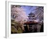 Cherry Blossoms and Hirosaki Castle-null-Framed Photographic Print