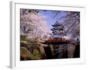 Cherry Blossoms and Hirosaki Castle-null-Framed Photographic Print