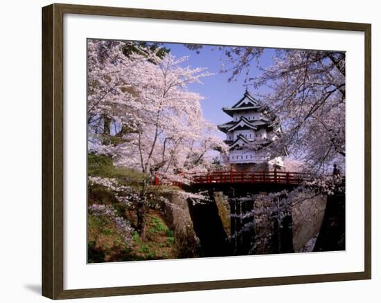 Cherry Blossoms and Hirosaki Castle-null-Framed Photographic Print