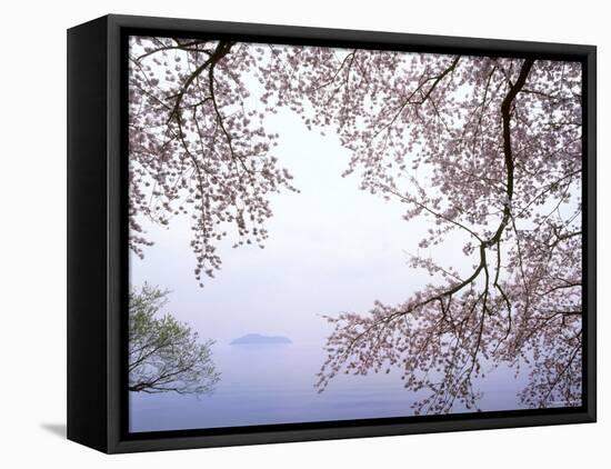 Cherry Blossoms and Lake Biwa-null-Framed Stretched Canvas