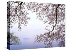 Cherry Blossoms and Lake Biwa-null-Stretched Canvas