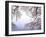 Cherry Blossoms and Lake Biwa-null-Framed Premium Photographic Print