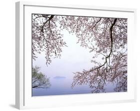 Cherry Blossoms and Lake Biwa-null-Framed Photographic Print