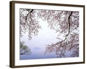 Cherry Blossoms and Lake Biwa-null-Framed Photographic Print