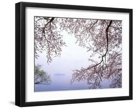 Cherry Blossoms and Lake Biwa-null-Framed Photographic Print