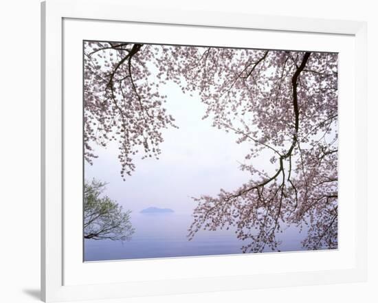 Cherry Blossoms and Lake Biwa-null-Framed Photographic Print