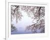 Cherry Blossoms and Lake Biwa-null-Framed Photographic Print