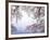 Cherry Blossoms and Lake Biwa-null-Framed Photographic Print