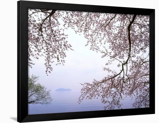 Cherry Blossoms and Lake Biwa-null-Framed Photographic Print