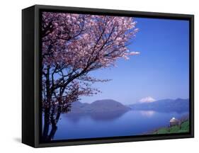 Cherry Blossoms and Lake Toyah-null-Framed Stretched Canvas