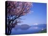 Cherry Blossoms and Lake Toyah-null-Stretched Canvas